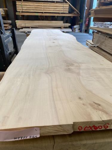PLATEAU DE TABLE EN ERABLE 