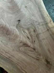 PLATEAU LIVE EDGE NOYER MASSIF 