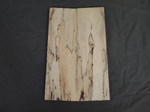 Table Erable Spalted